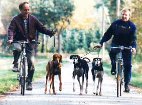 Sawahin Salukis am Fahrrad